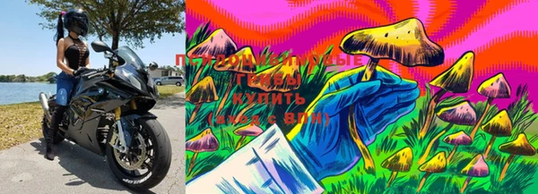 спайс Абдулино