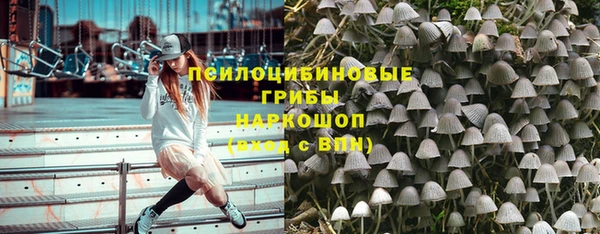 твердый Нягань