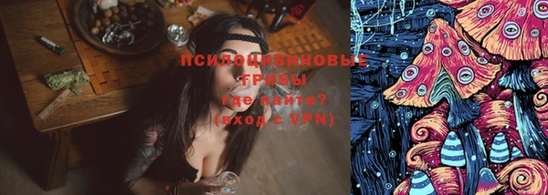 мяу мяу кристалл Няндома