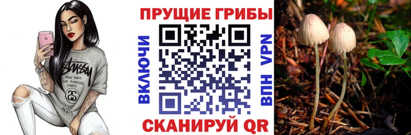 ОМГ ОМГ онион  Невельск  Галлюциногенные грибы GOLDEN TEACHER 